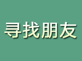 大柴旦寻找朋友